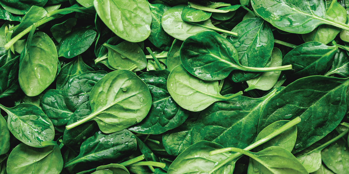 Backgorund image Eat Healthy to Keep Healthy 89