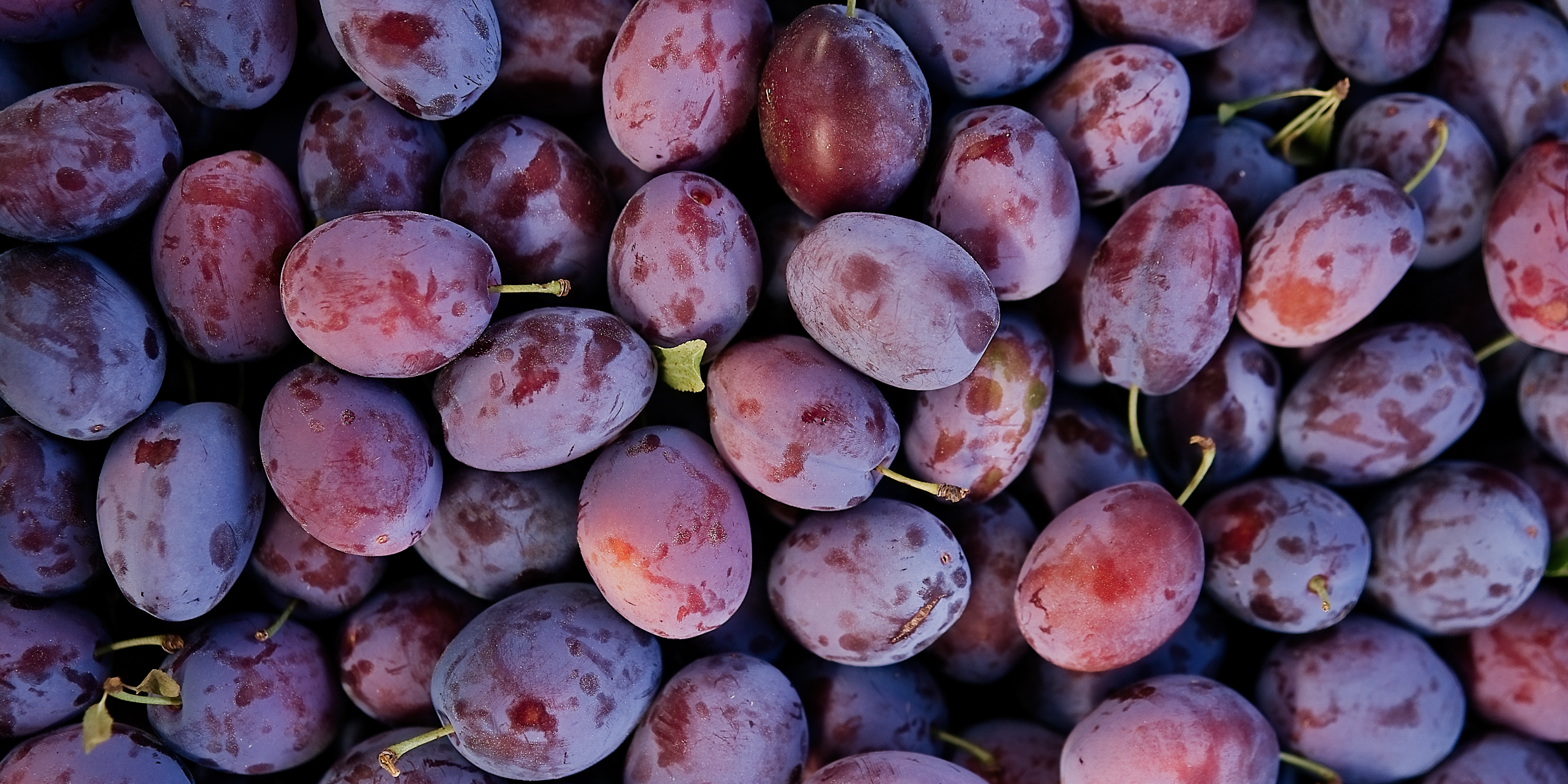 Background image Explore How Farmers Produce Food 2025