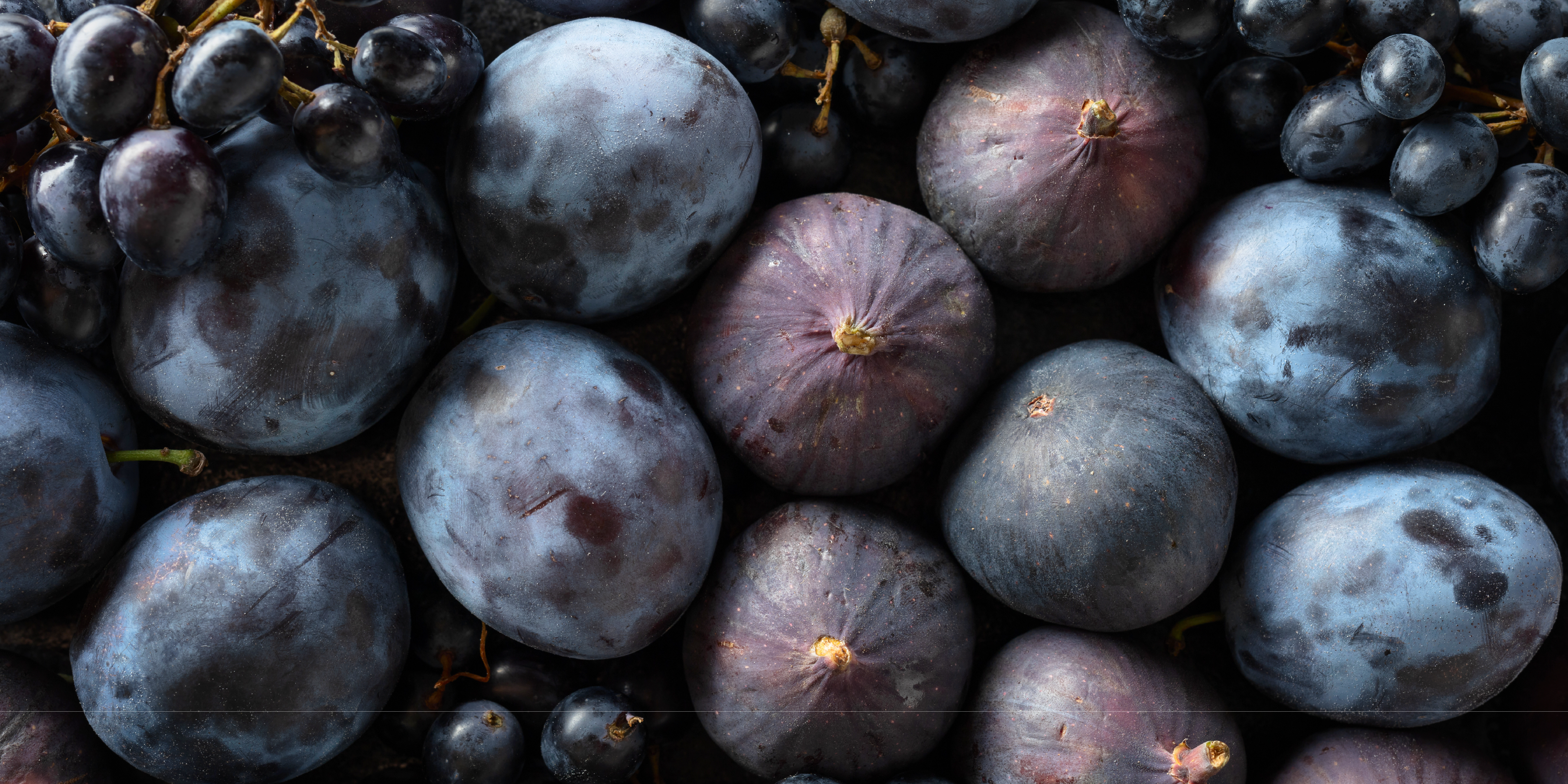 Background image Farm to Fork Sustainable Food Production in a Changing Environment 2025