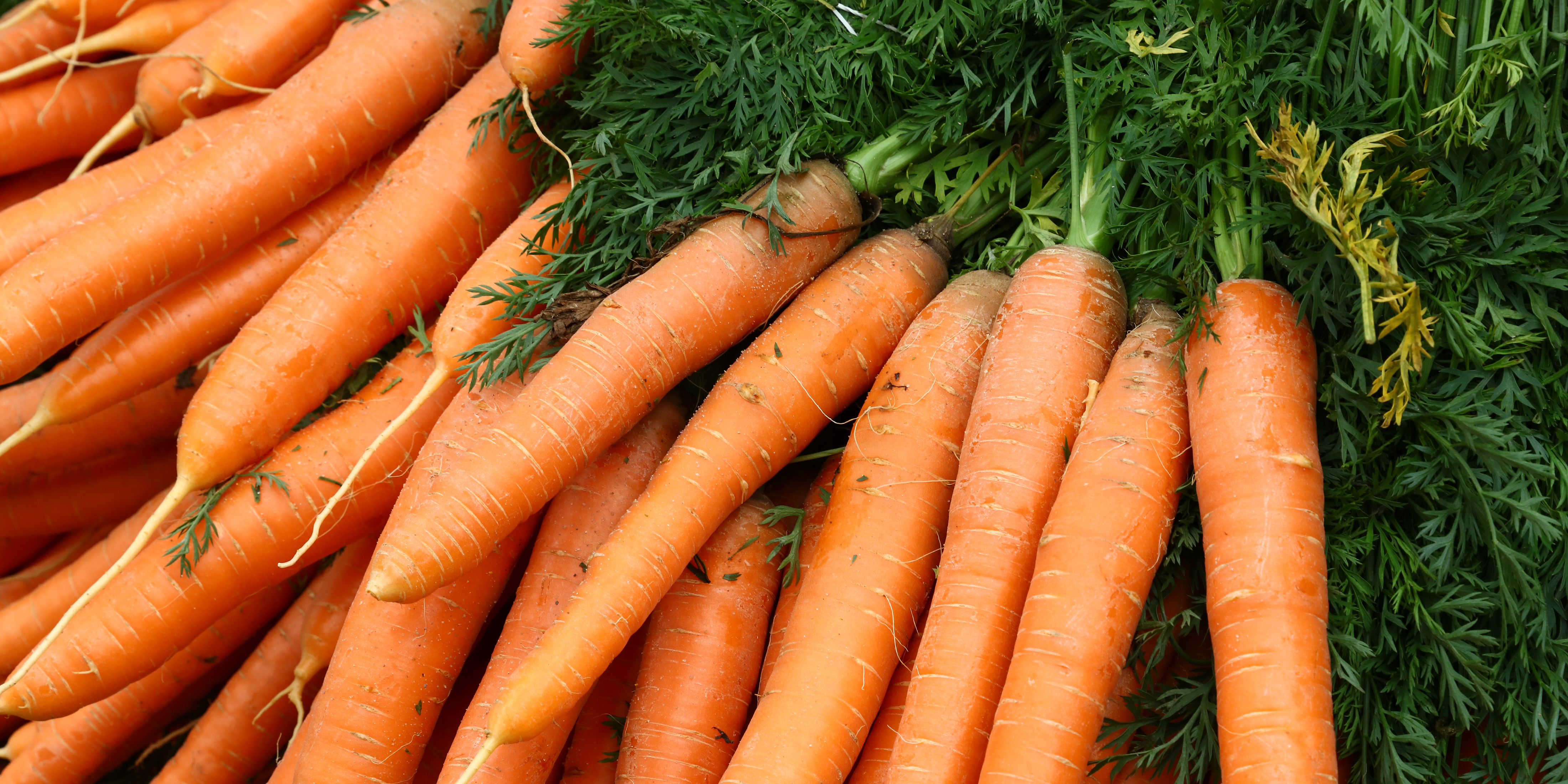 Background image From Waste to Value How to tackle Food Waste 2025