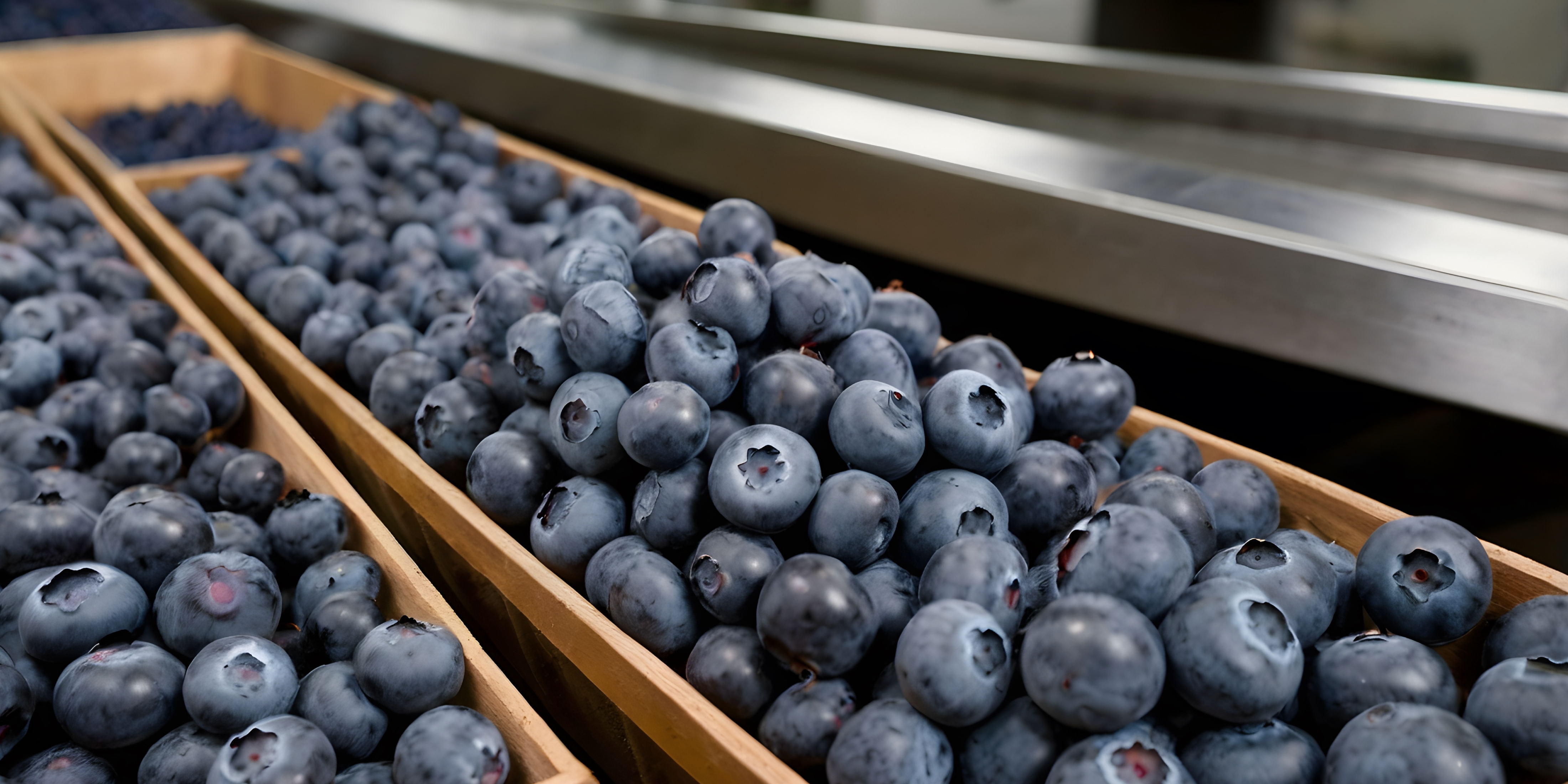 Background image How Food is Made Understanding Food Processing Technologies 2025
