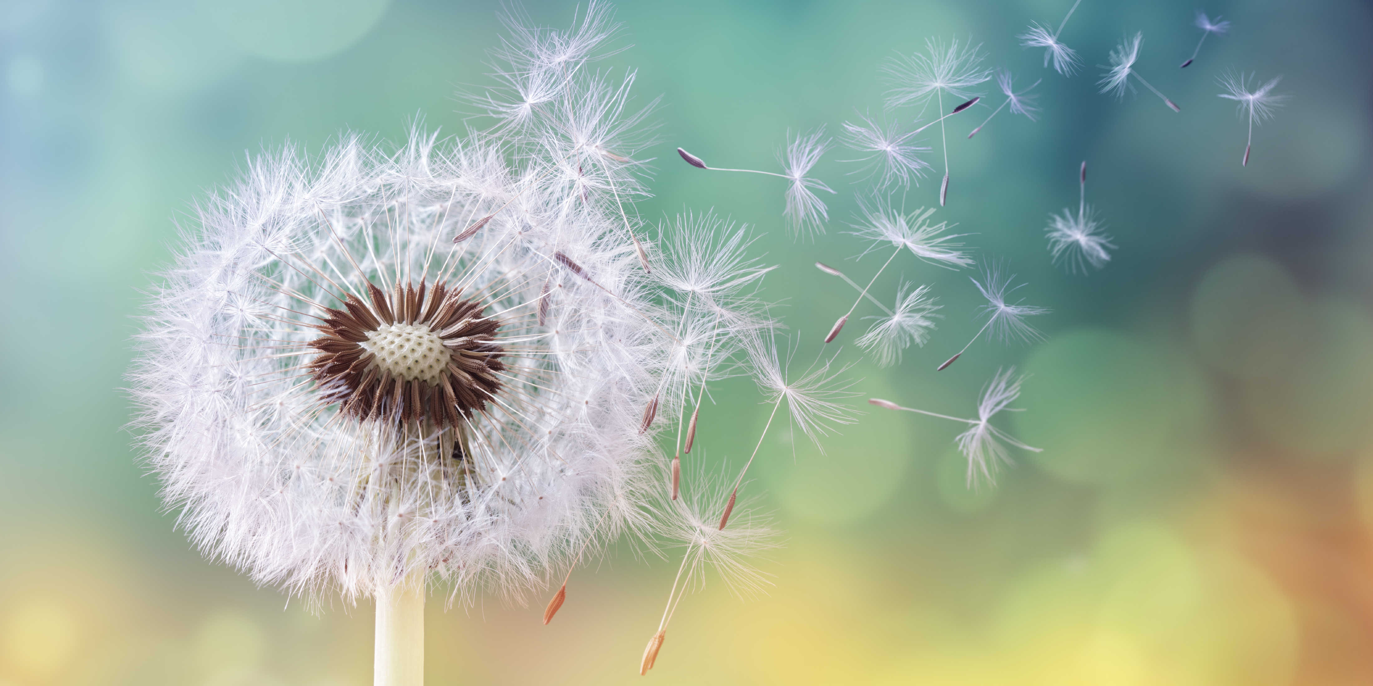 Background image Innovator Fellowship 03