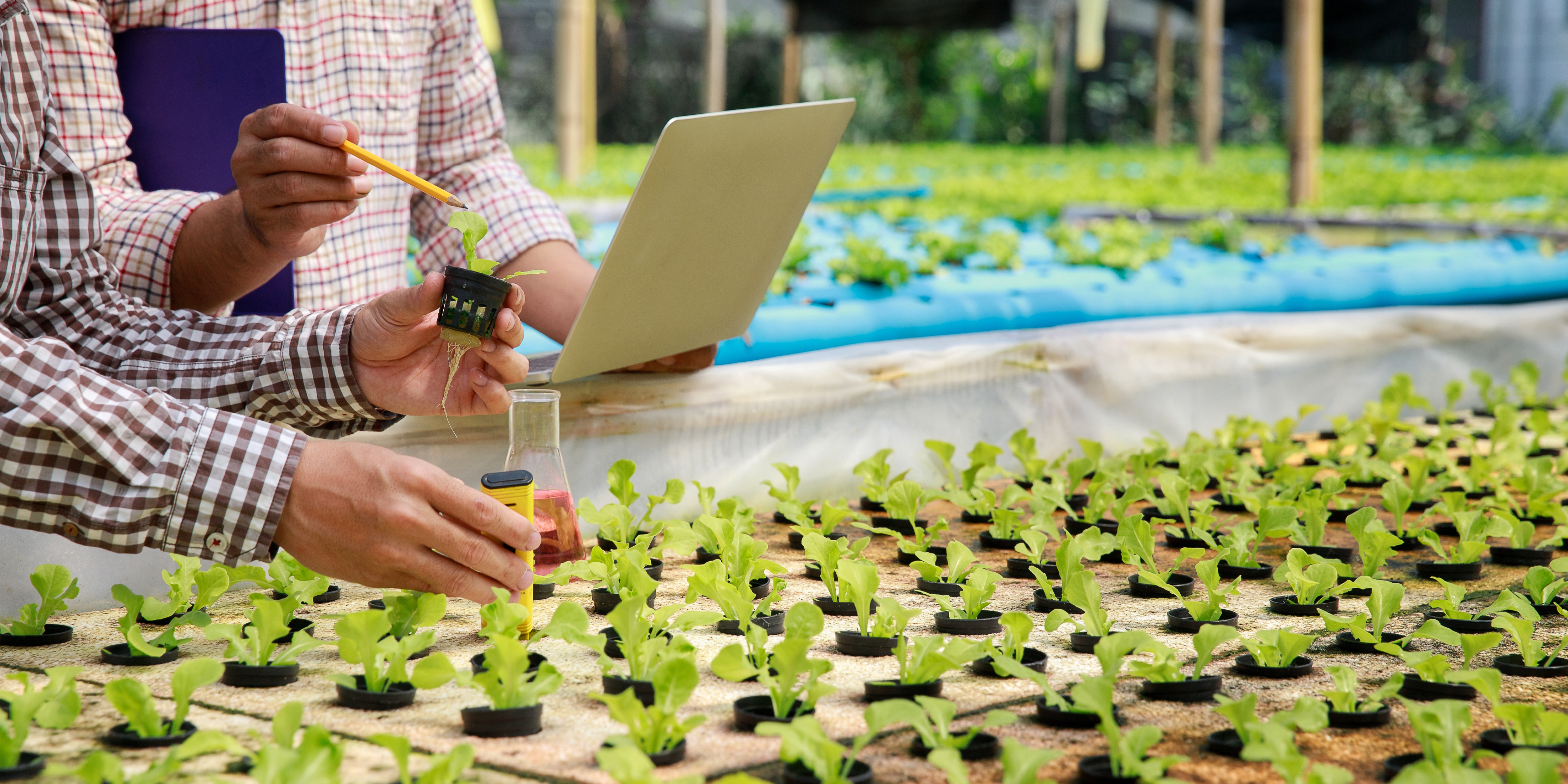 Background image Inspire Digital Technologies in the Food System 03