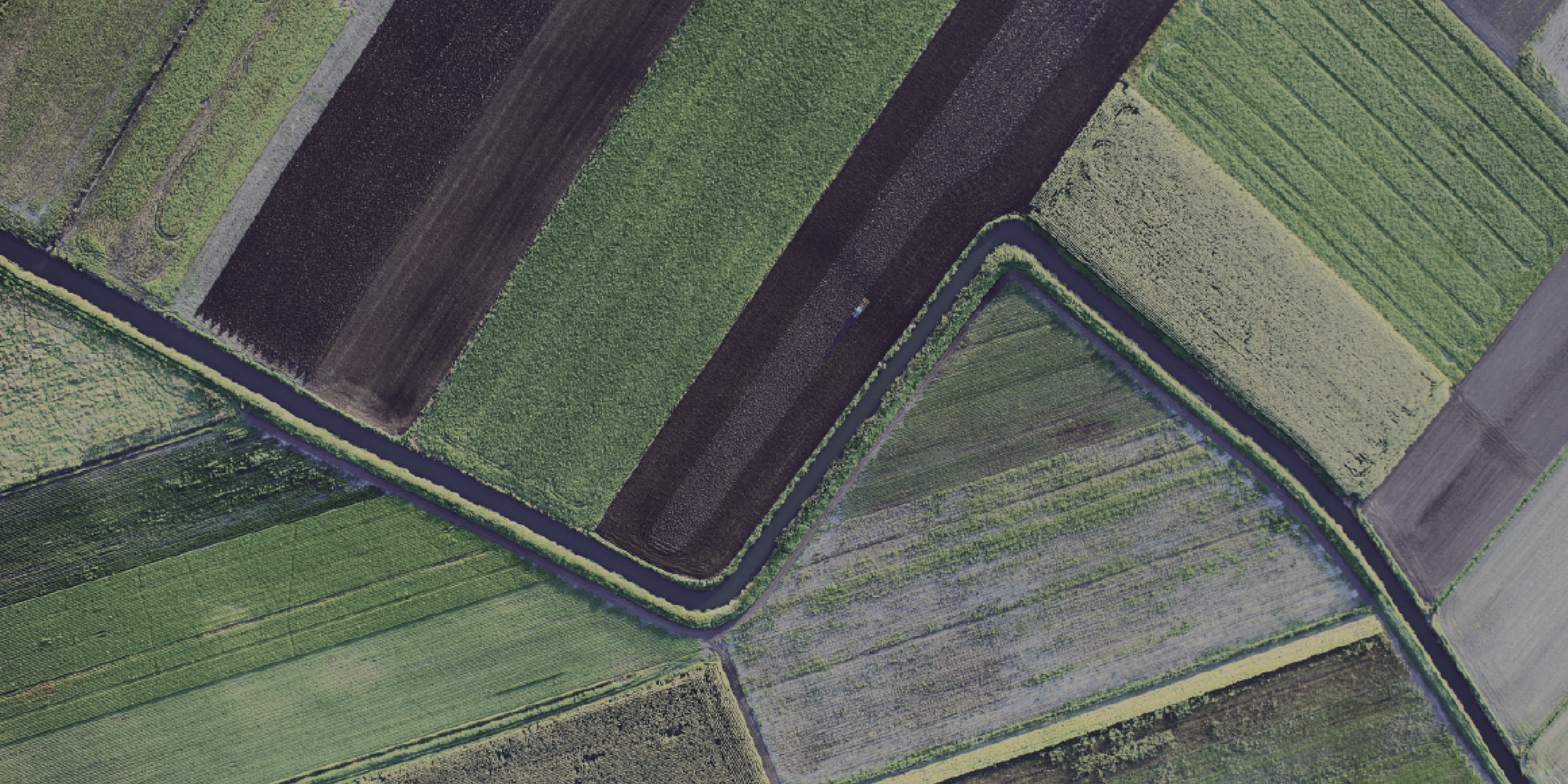 Background image Master in Food Systems 11