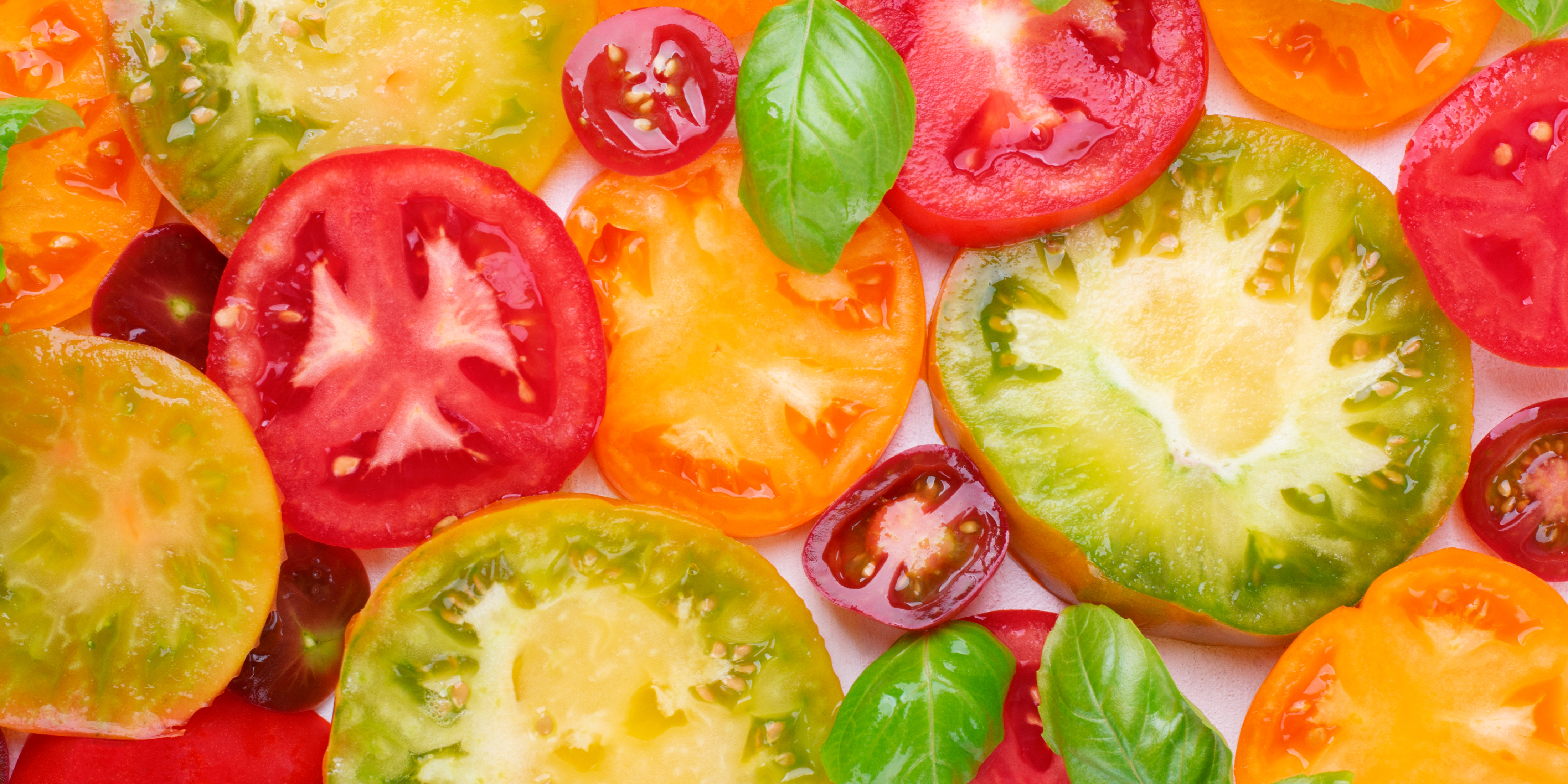 Background image WE Lead Food 05