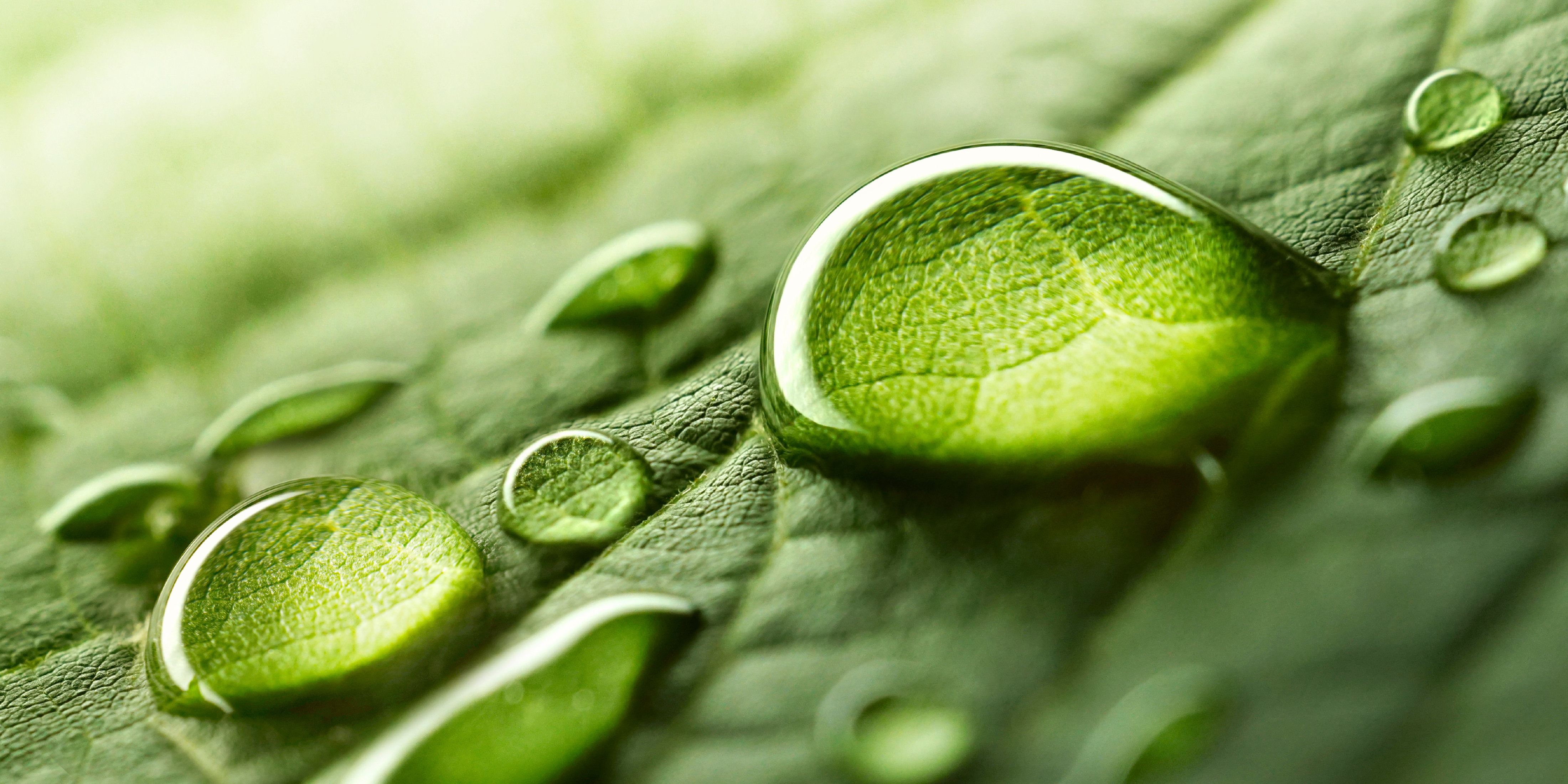 Background image Water Food Nexus 10