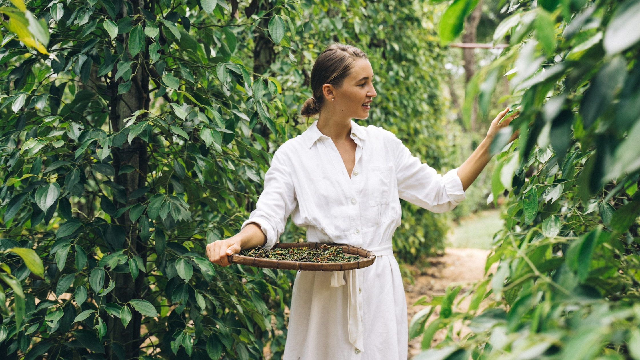 EMPOWERING WOMEN IN AGRIFOOD EXPLORE 1
