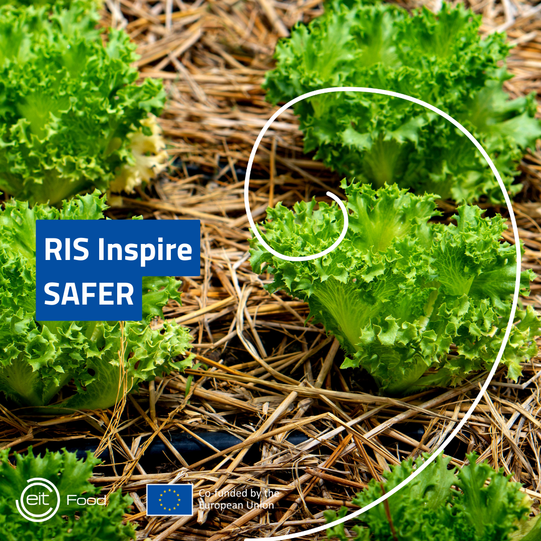 2025 RIS Inspire SAFER 3