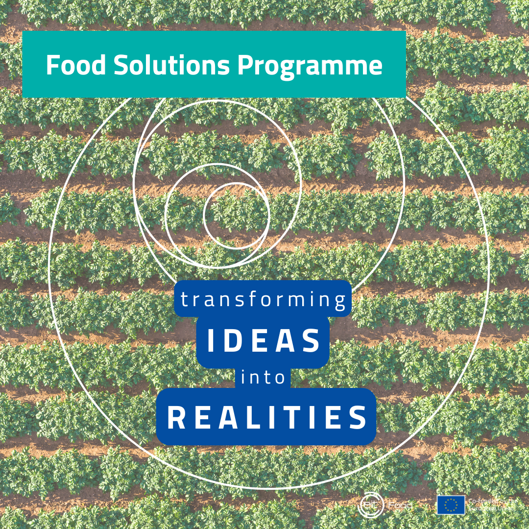 Food Solutions transforming ideas into realities