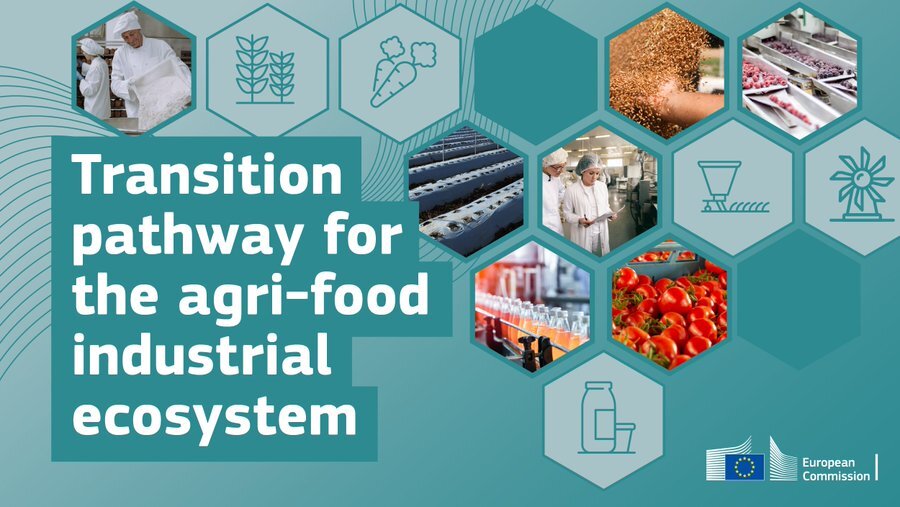 EC Report pathways agrifood