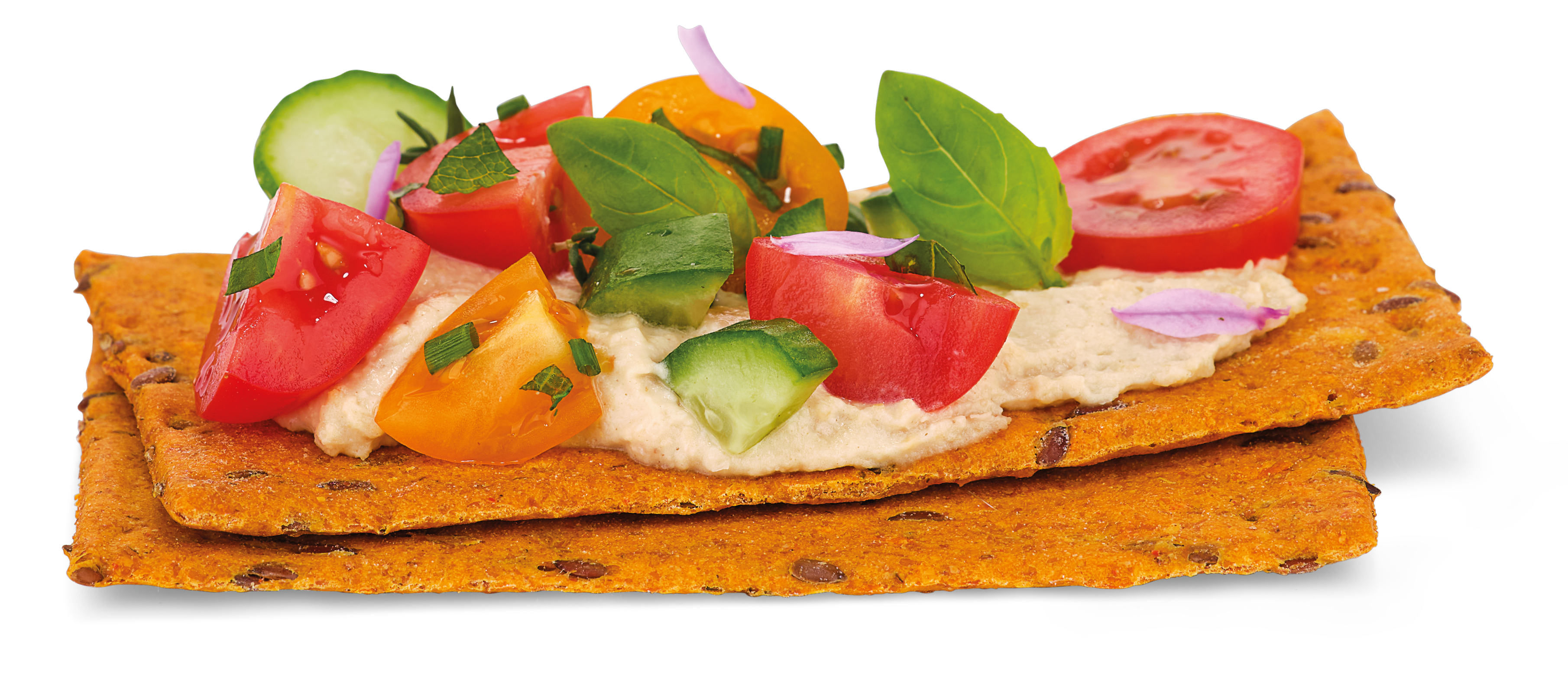 Food Solutions Paola Varela Holiroots