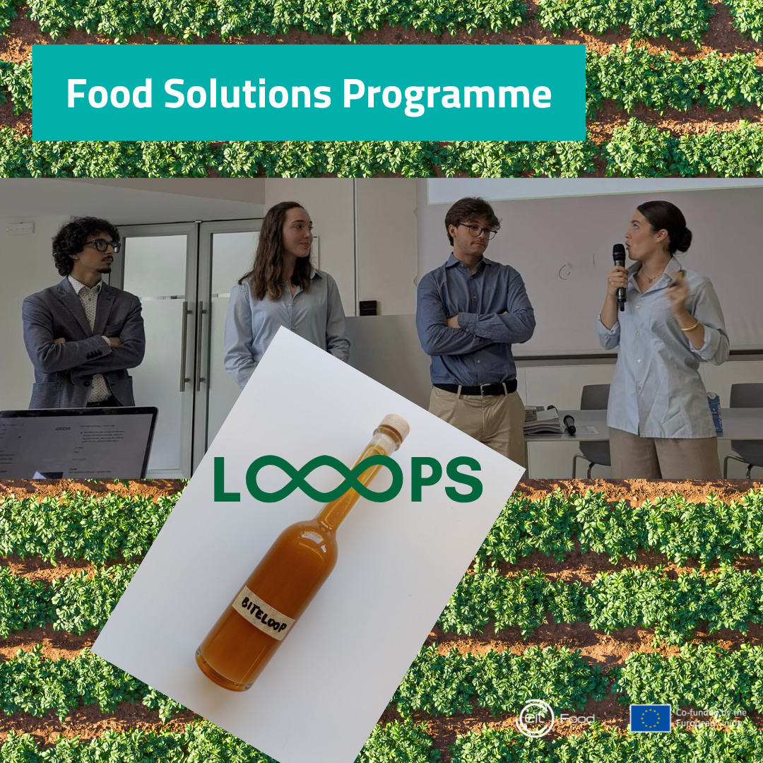 LOOOPS team 4 v2