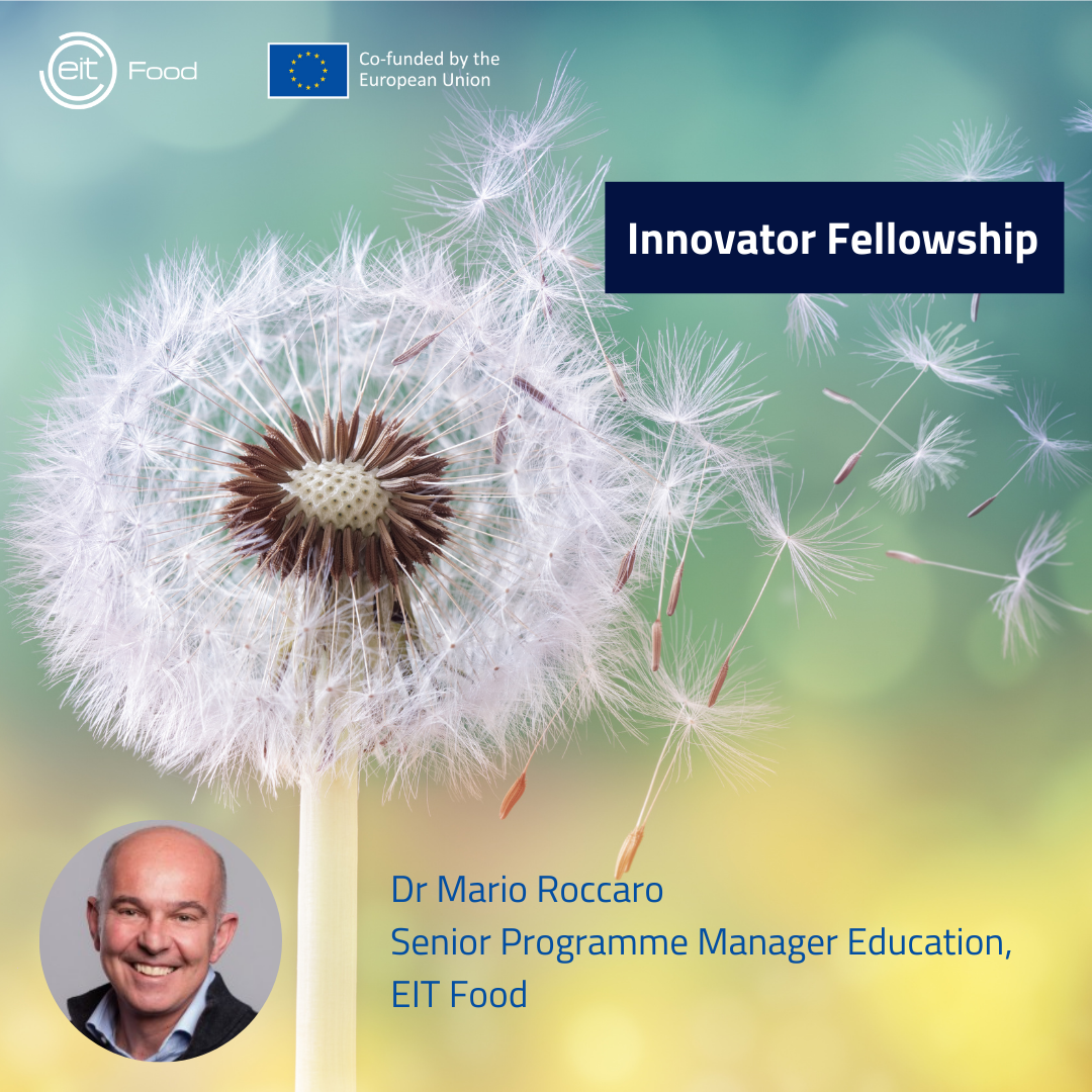 Mario Innovator Fellowship