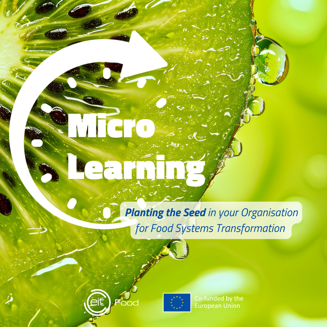 Micro Learning Overarching v2
