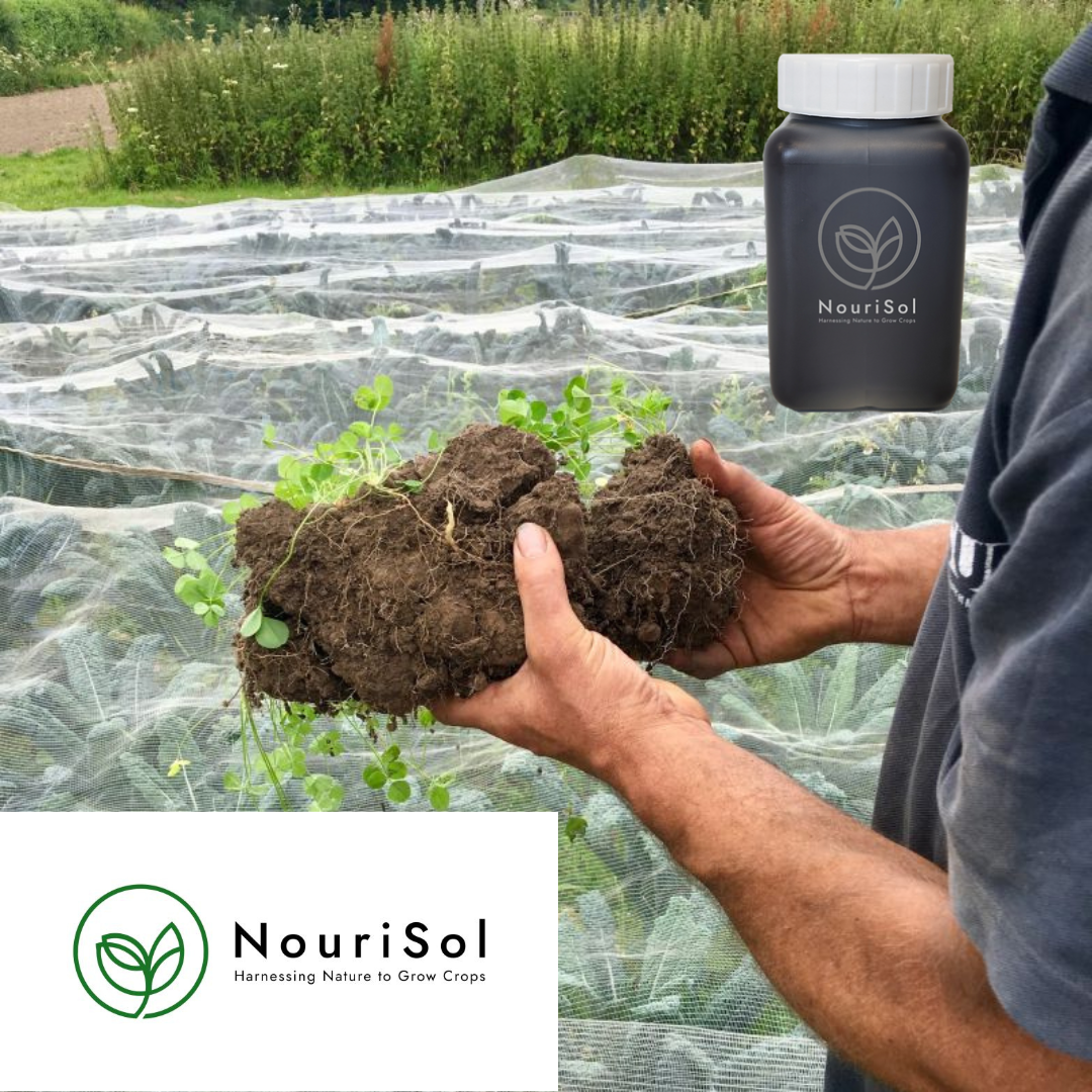 GFVP Marine Valton NouriSol