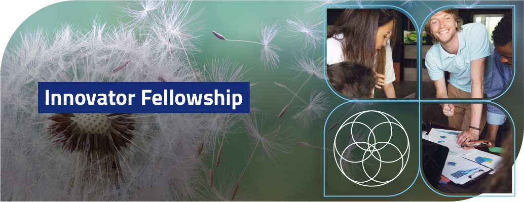 Professionals Innovator Fellowship Webheader