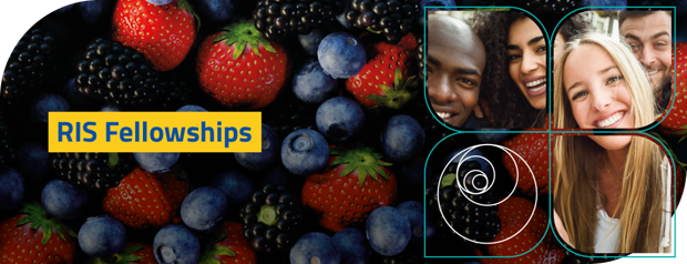 RIS Fellowships topheader