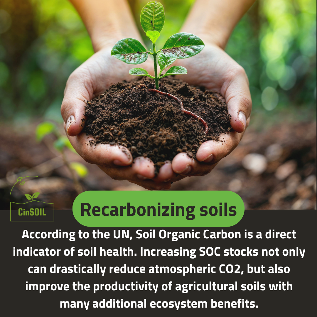 Recarbonizing soil