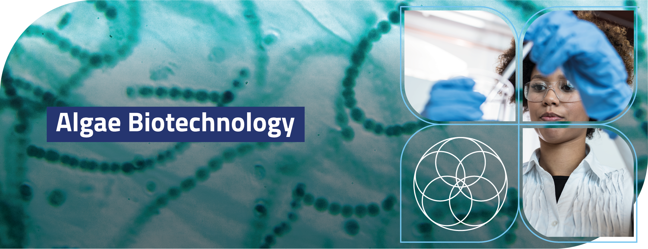 Topheader Algal Biotechnology