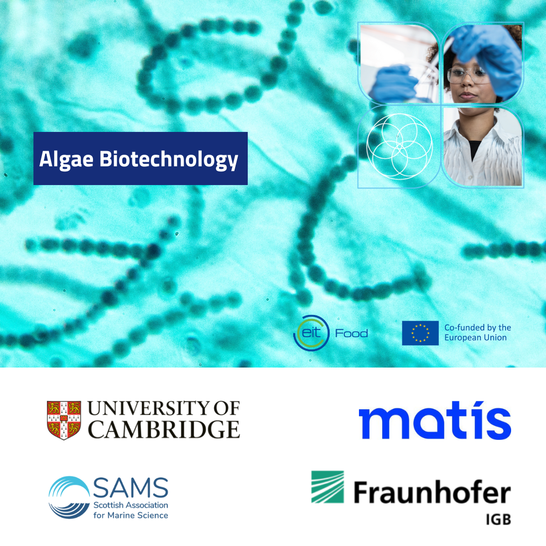 Algae biotechnology