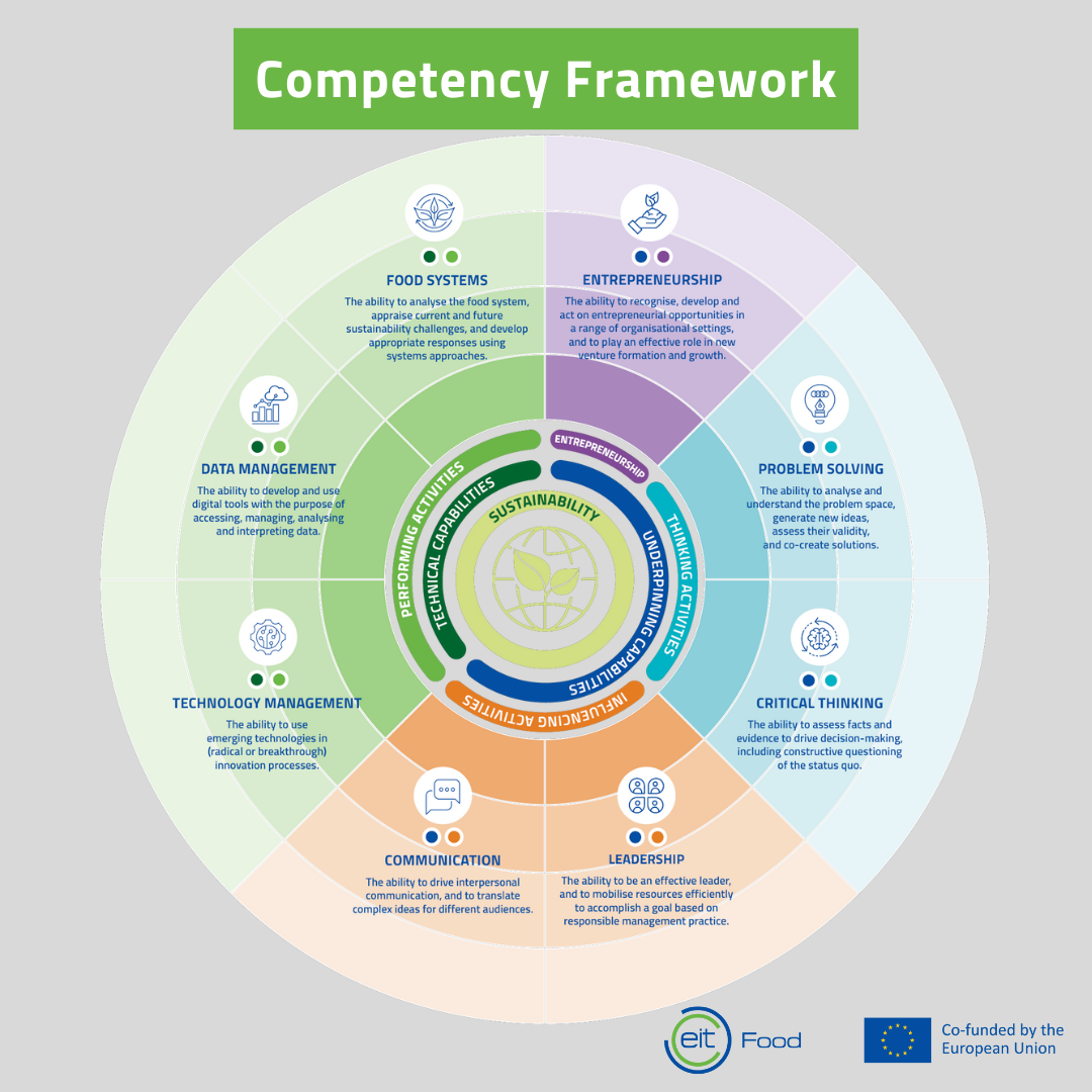 Competency framework