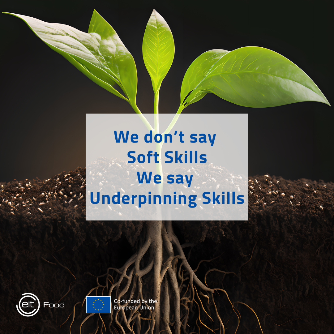 Underpinning vs technical skills Dont say soft skills