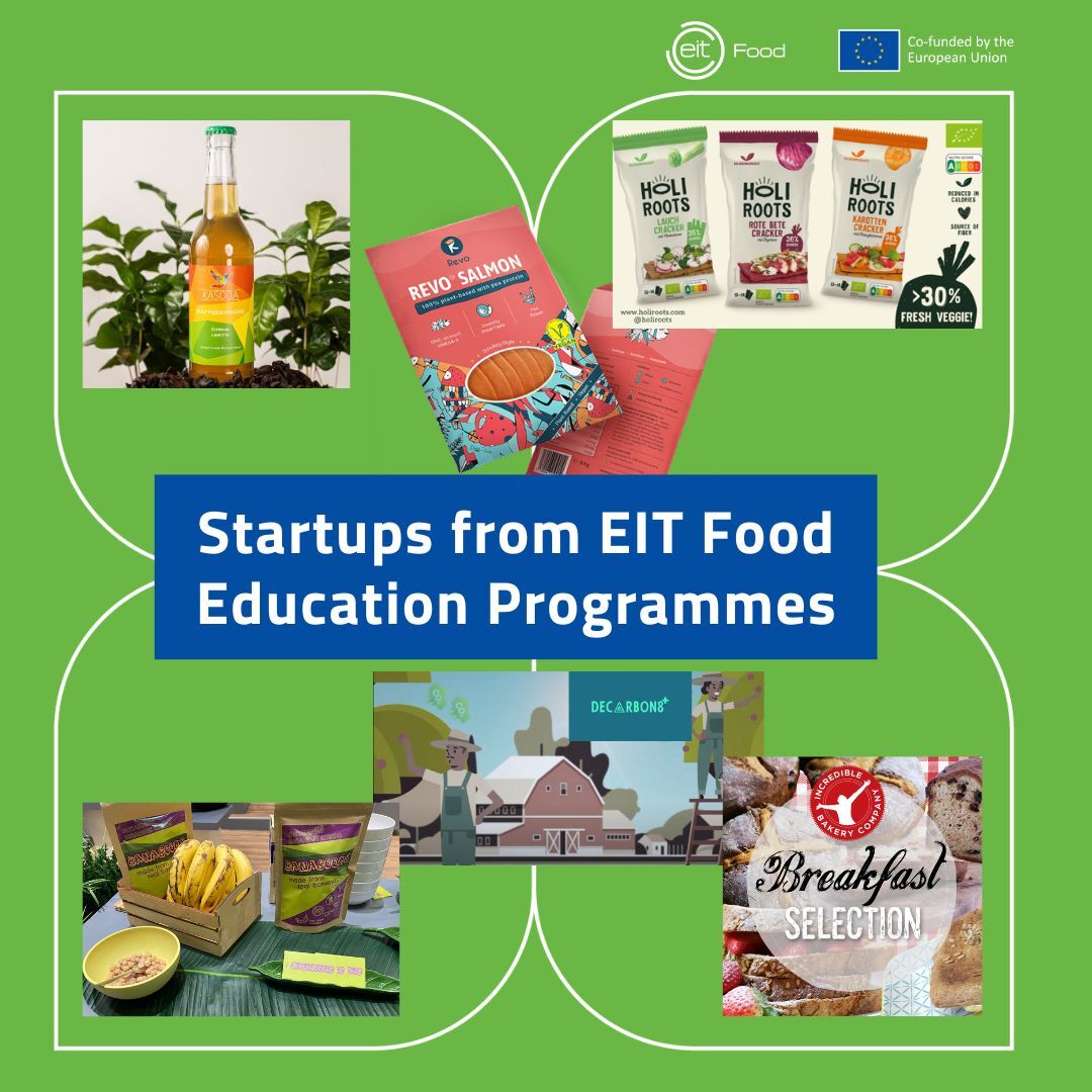 Impact Numbers Edu start ups