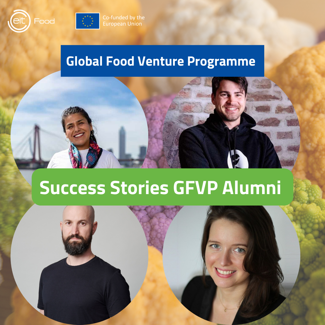 I GFVP impact stories