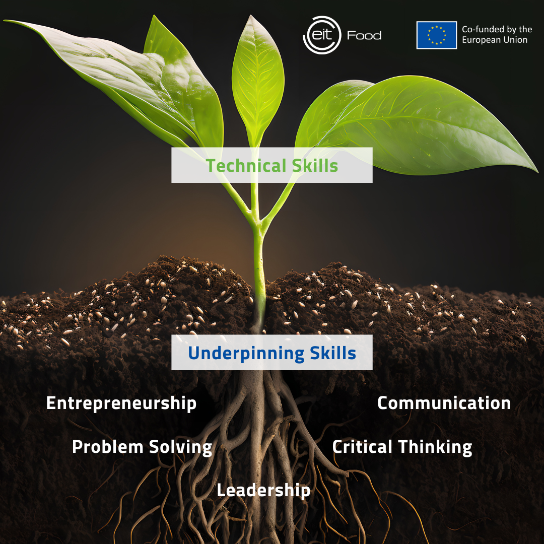 Underpinning vs technical skills