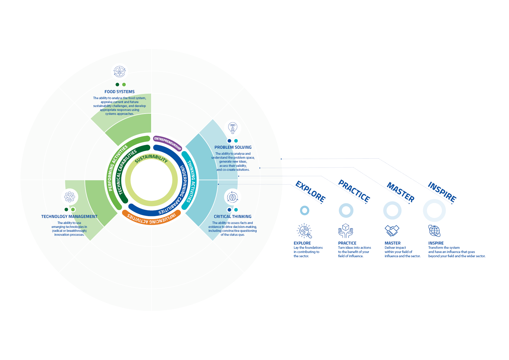 SAFER Competency Framework circle with sustainabiity and symbol