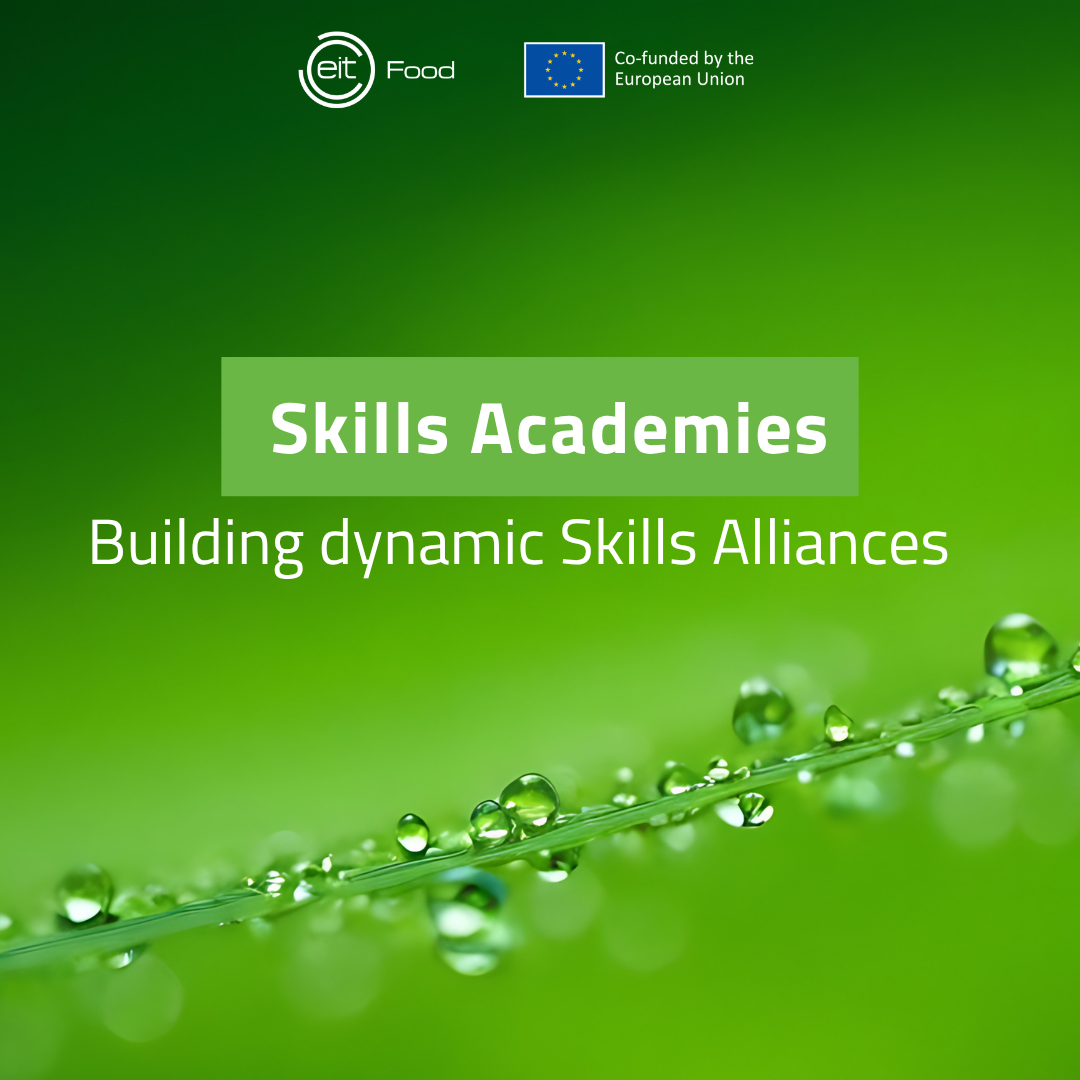 Skills Academies
