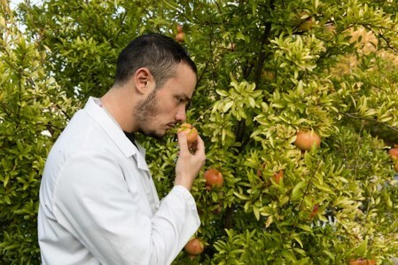 Enrico ris inspire sust food prod cons